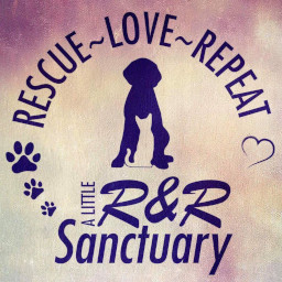 A Little R&R Animal Sanctuary, Inc.