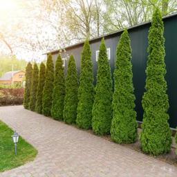 Aaron's Landscaping & Sealcoating
