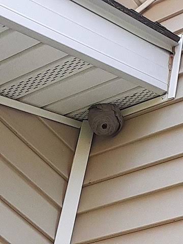 Abby Pest Elimination LLC