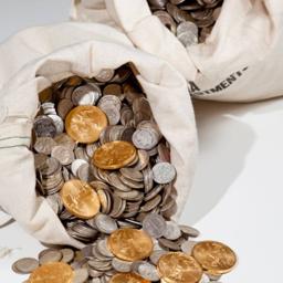Belvidere Collectible Coins