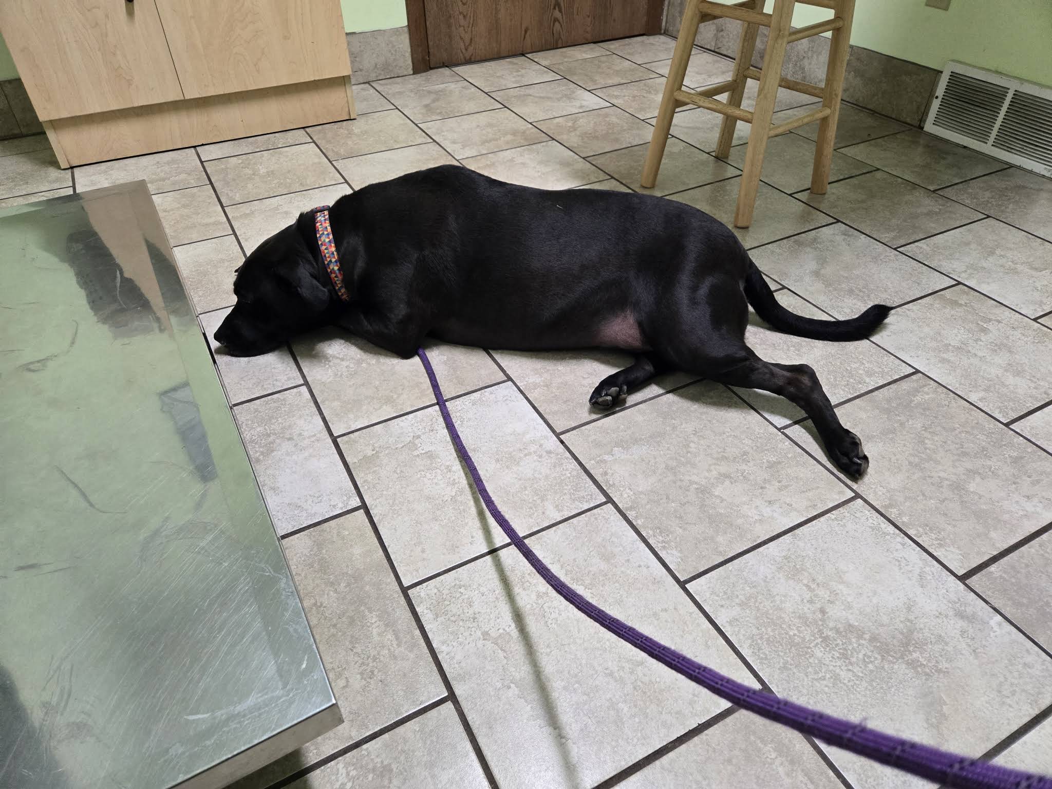 Belvidere Family Pet Hospital