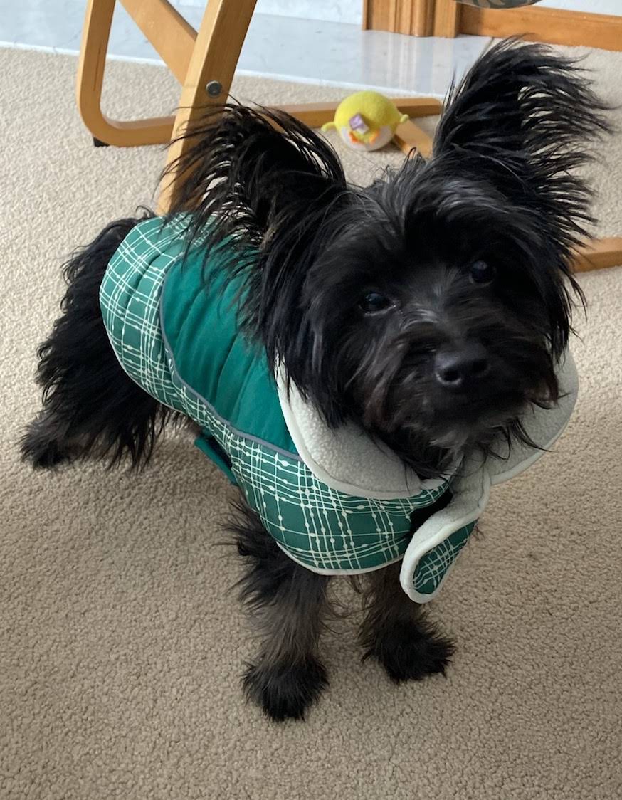 Belvidere Family Pet Hospital