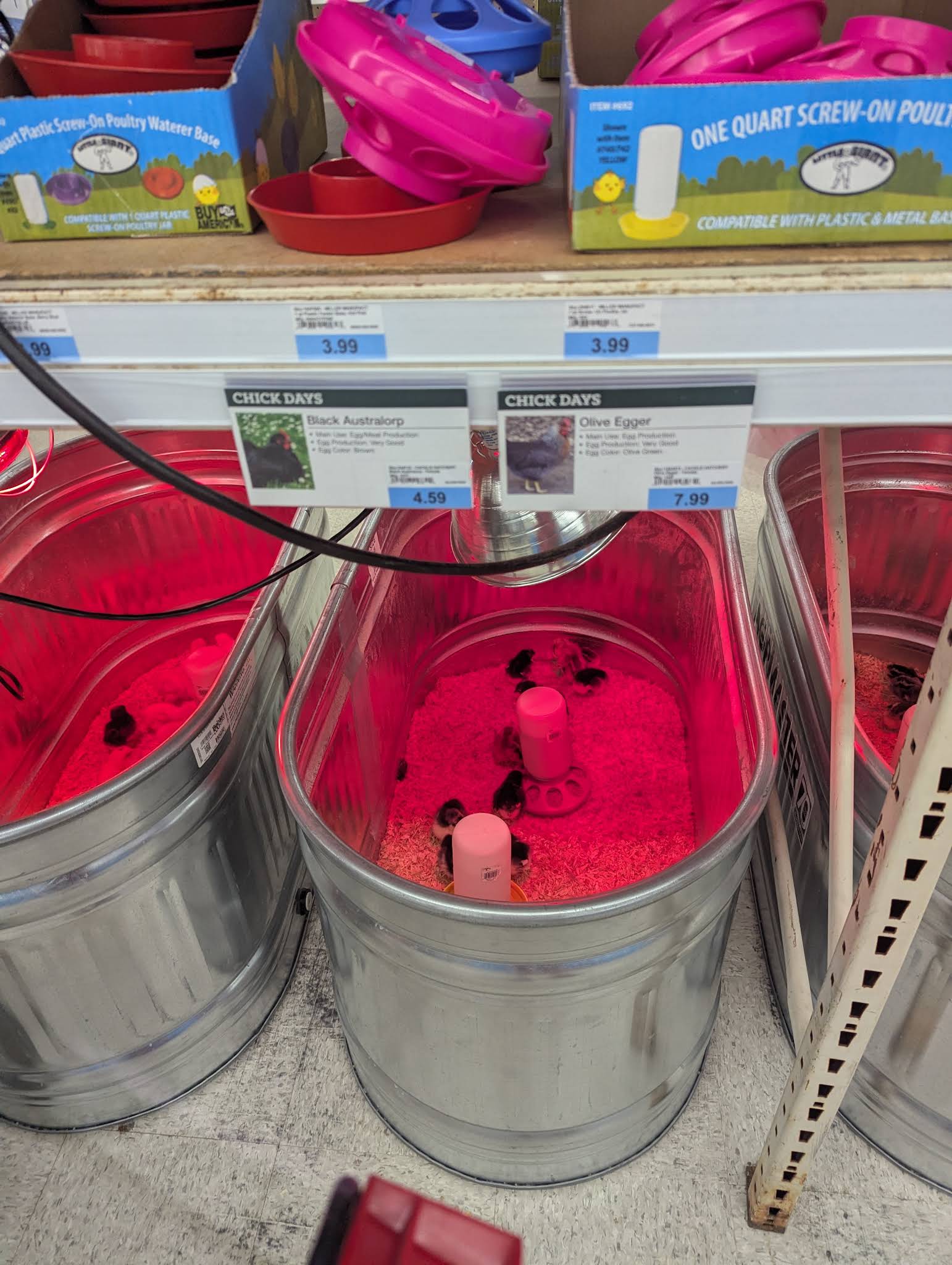 Blain's Farm & Fleet