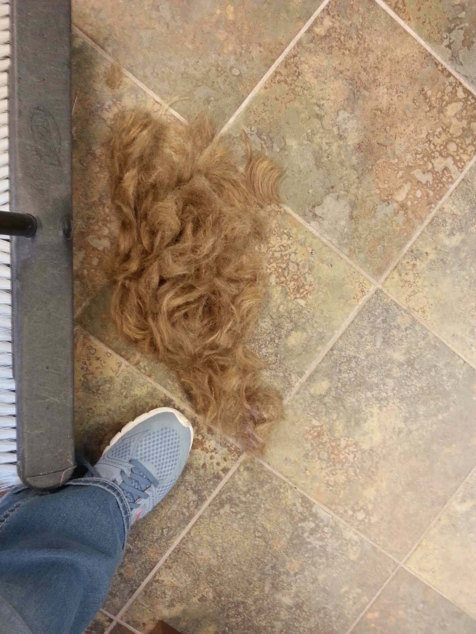 Dukes & Lords Family Haircutting Center