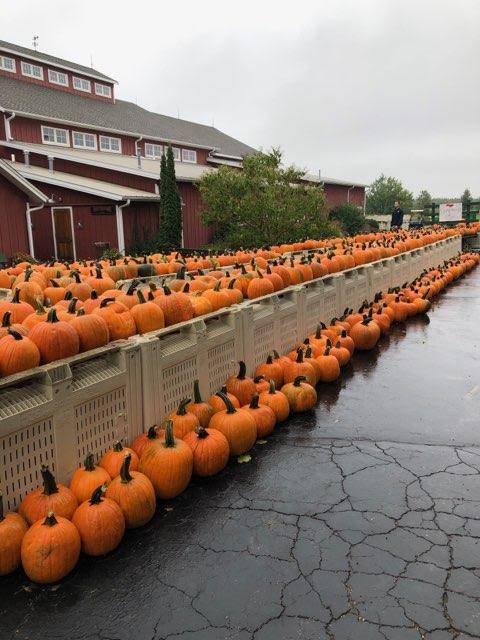 Edwards Apple Orchard