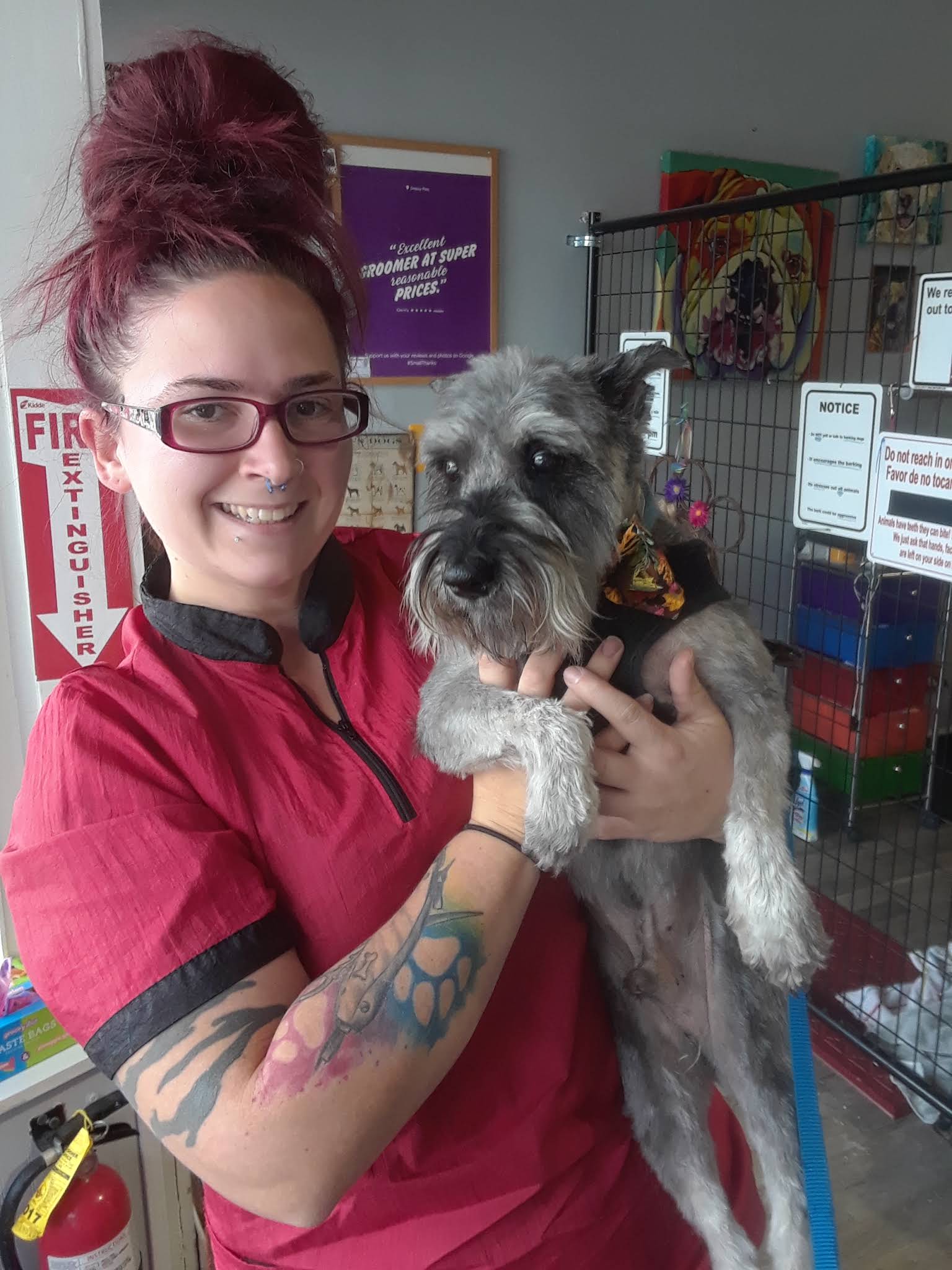 Snazzy Pets Grooming Belvidere