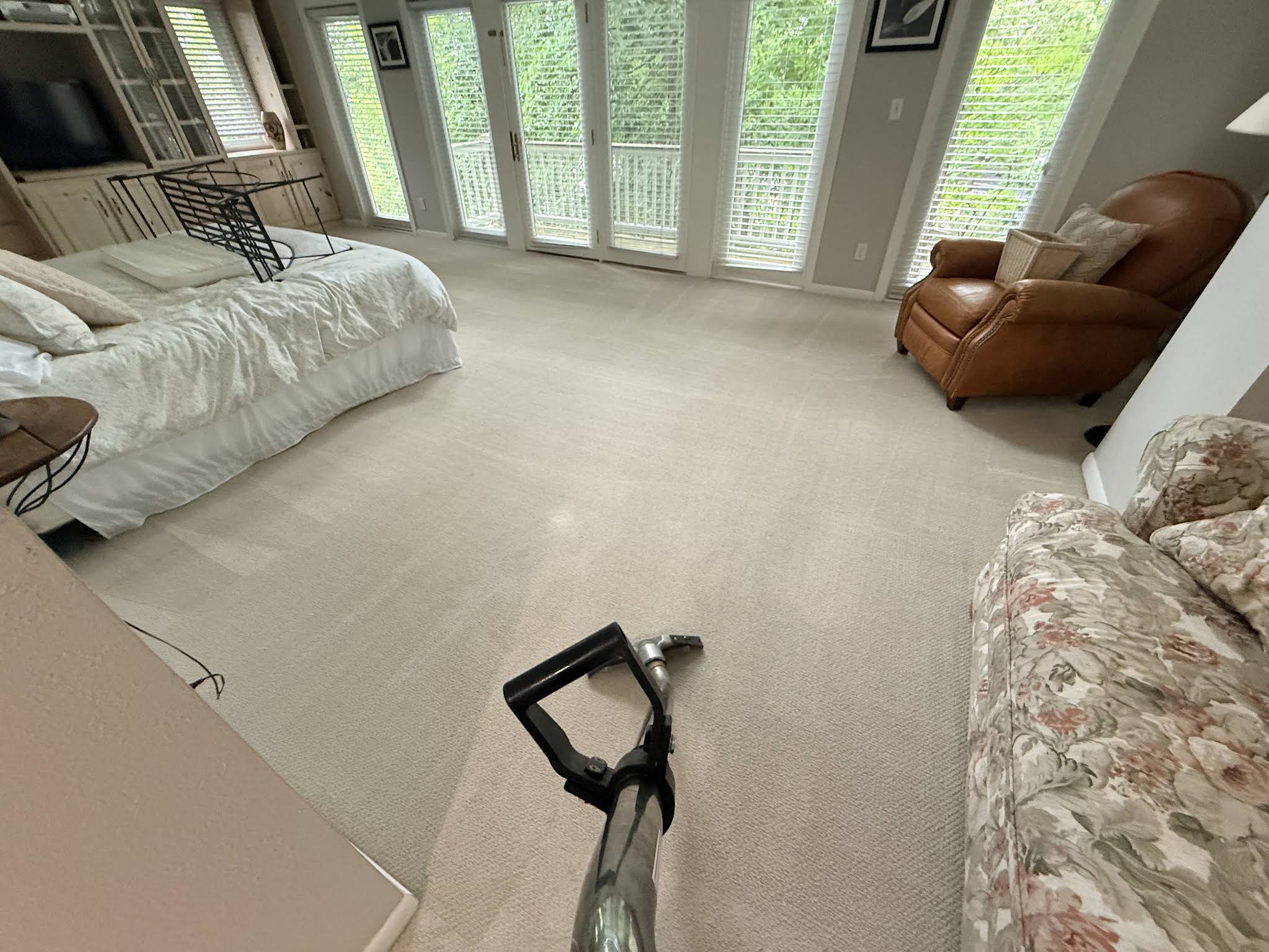 TED'S Carpet Cleaning PLUS