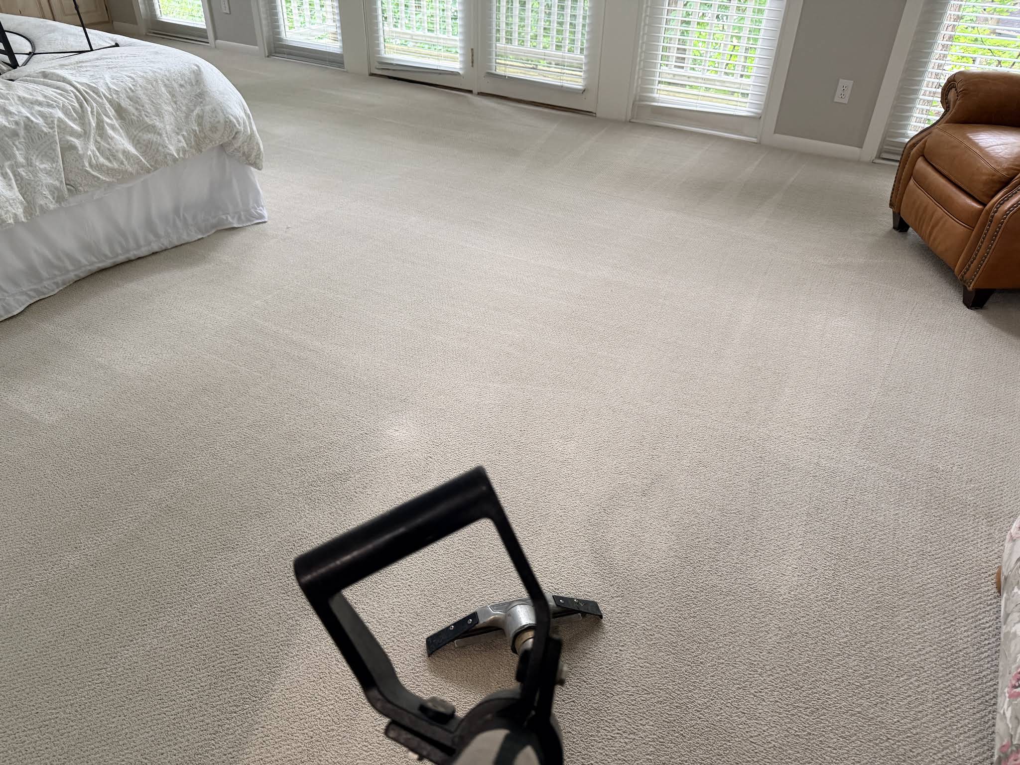 TED'S Carpet Cleaning PLUS