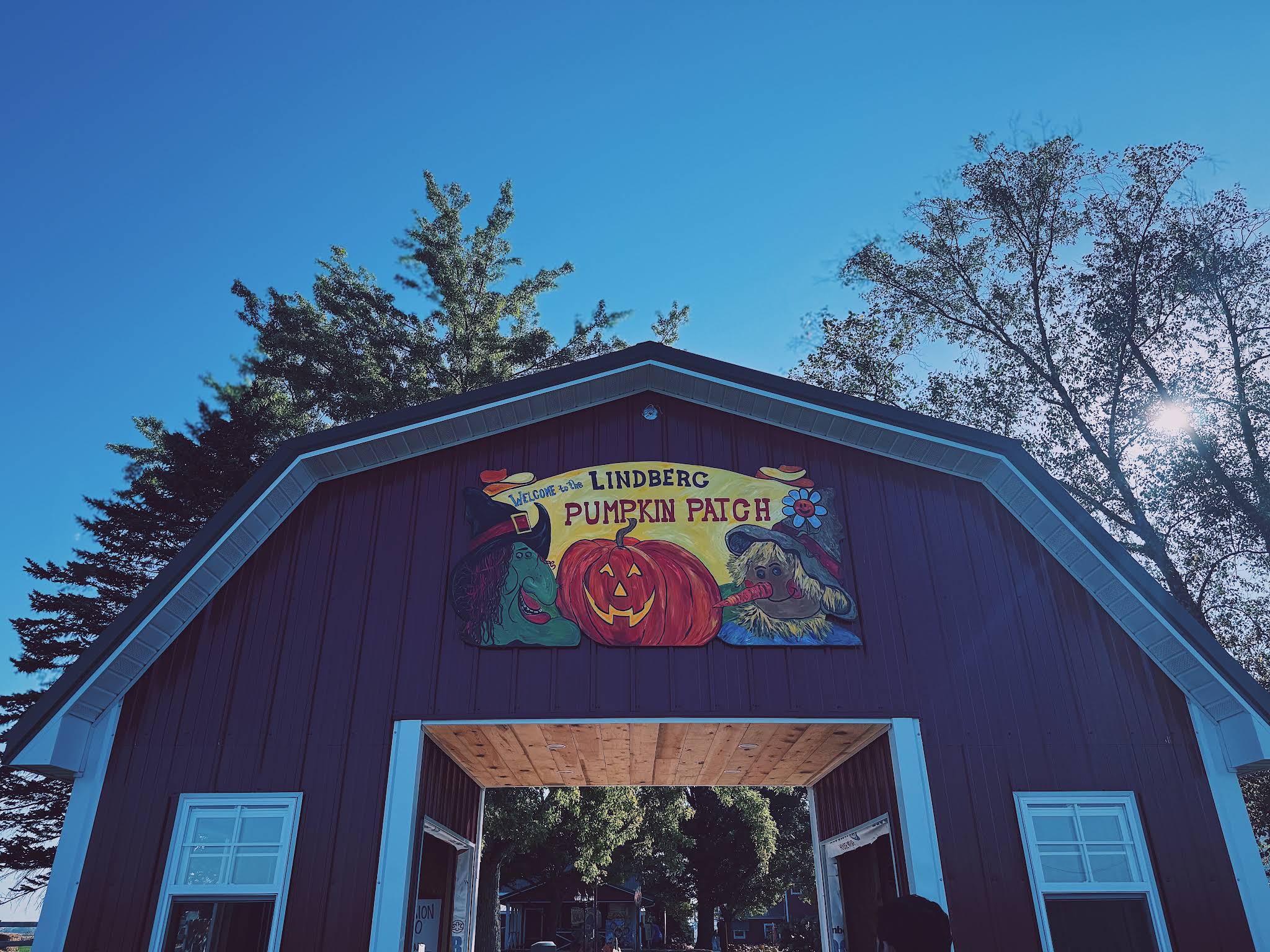 The Pumpkin Patch