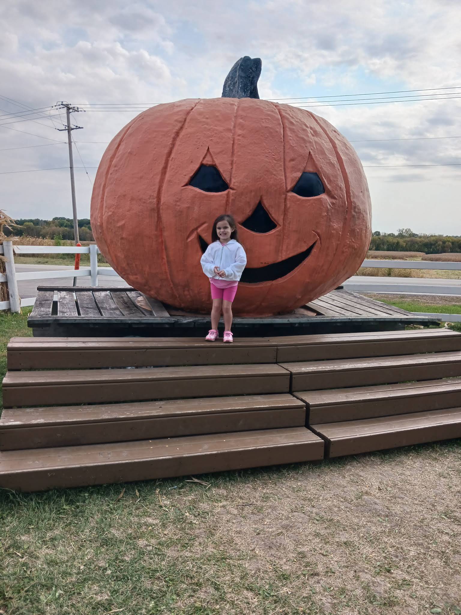 The Pumpkin Patch