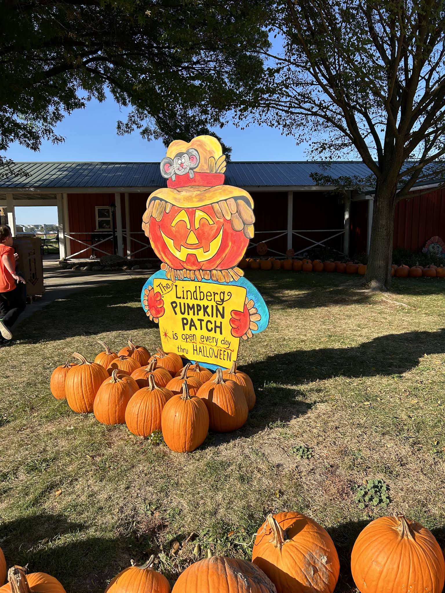 The Pumpkin Patch